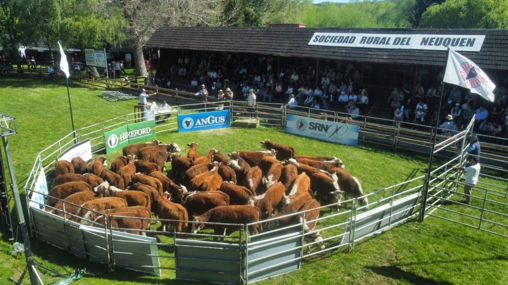 La Sociedad Rural confirmó sus exposiciones para 2026 y 2027