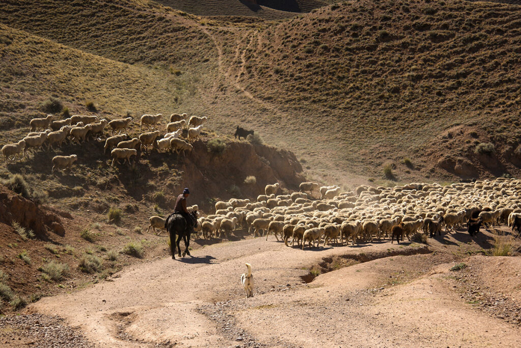 La Legislatura busca impulsar un sello para el trabajo rural