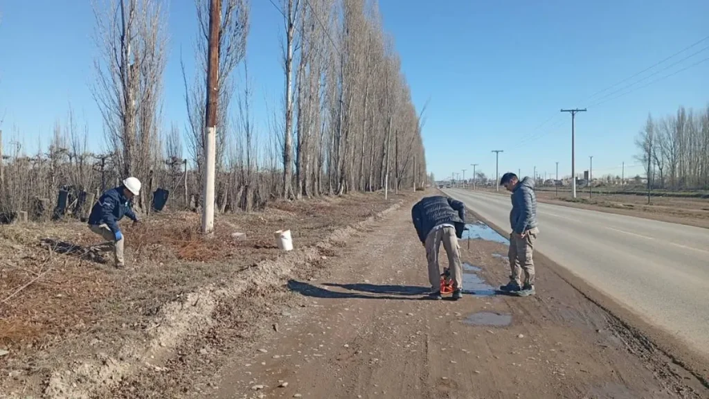 Iniciaron la obra de alumbrado LED en un tramo de la Ruta 65 en Cipolletti