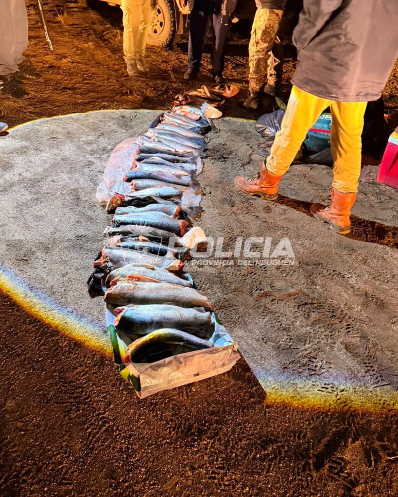 Un control de pesca terminó con 32 truchas decomisadas