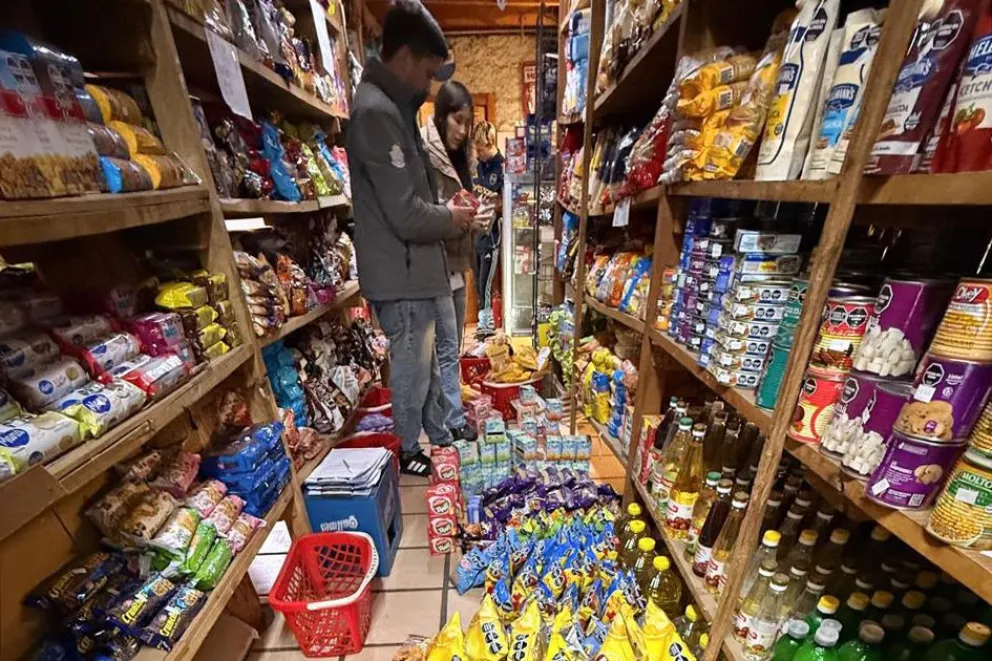 Detectaron más de 1.500 productos vencidos en un comercio de Villa Traful