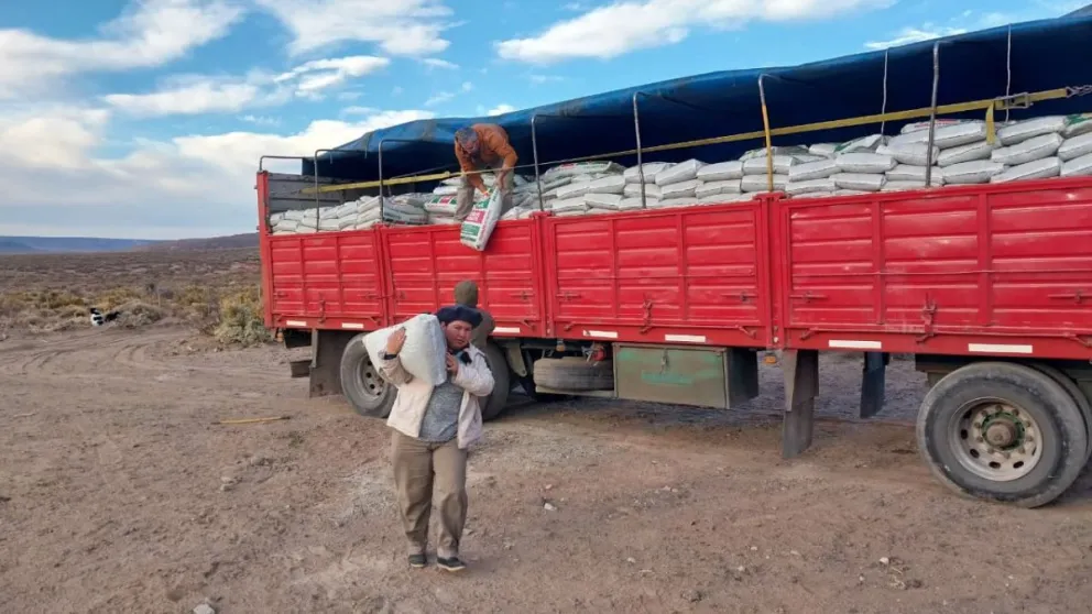Más de 700 familias rurales recibieron asistencia tras las nevadas