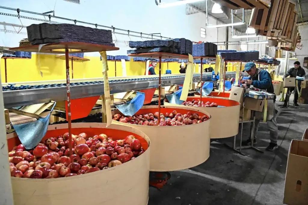 Acuerdo salarial para los empacadores de frutas de Río Negro y Neuquén