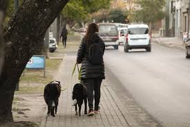 Frío: anticipan un fuerte cambio del tiempo para este viernes