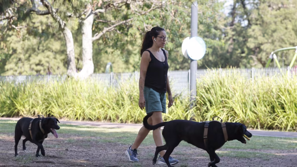 Mascotas en plazas: analizan crear sectores diferenciados