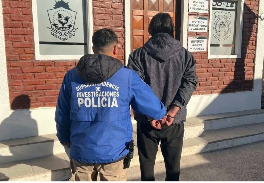 Siete allanamientos y dos imputados por robos en Plottier