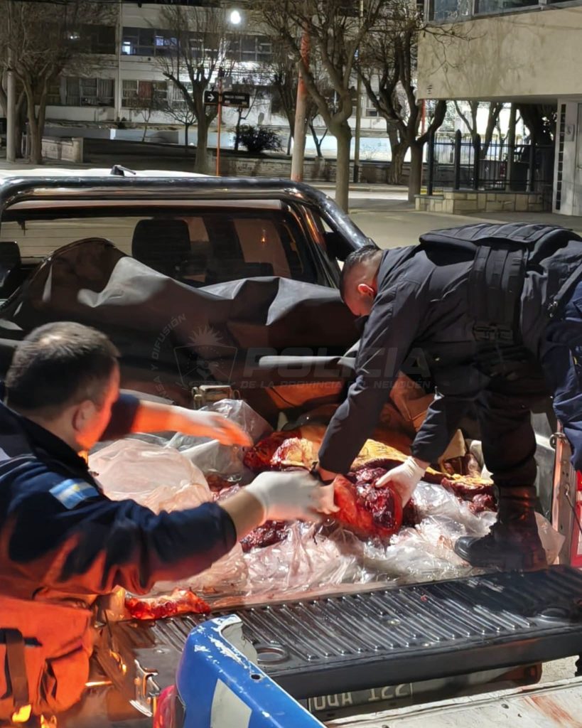 Ruta 40: secuestran más de 200 kilos de carne y un equino