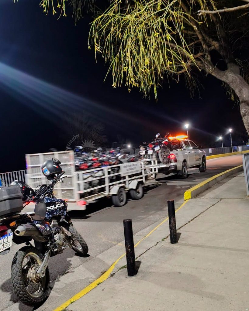 Operativo en la Isla 132: secuestraron 127 vehículos