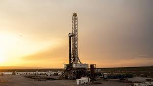 Vaca Muerta: 10 empresas ofertaron más de US$230 millones para explorar nuevas áreas