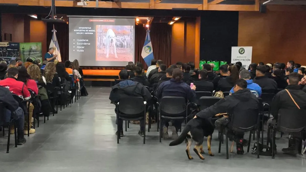 Equipos de primera respuesta se capacitaron en rescate y manejo de animales