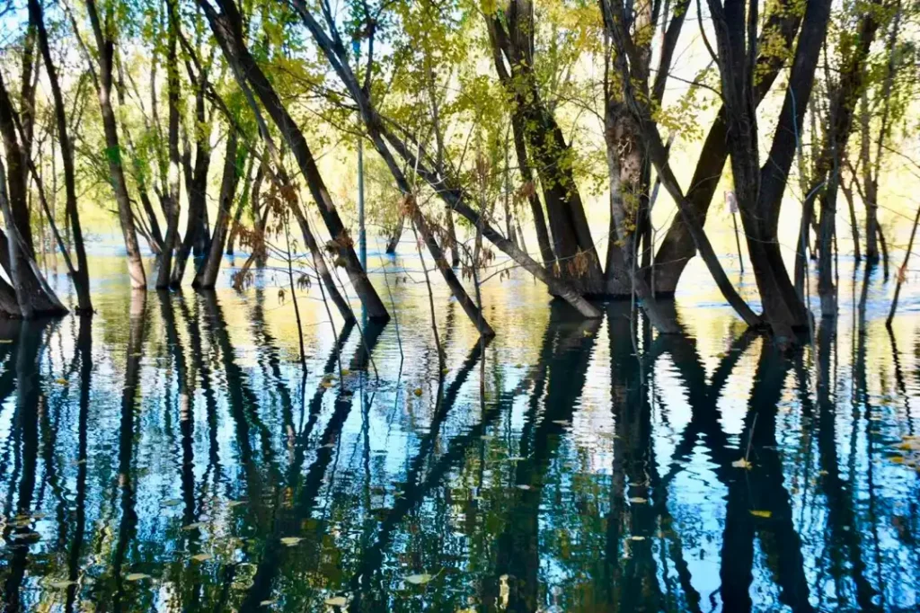 La AIC descartó aumentos del caudal del río Neuquén