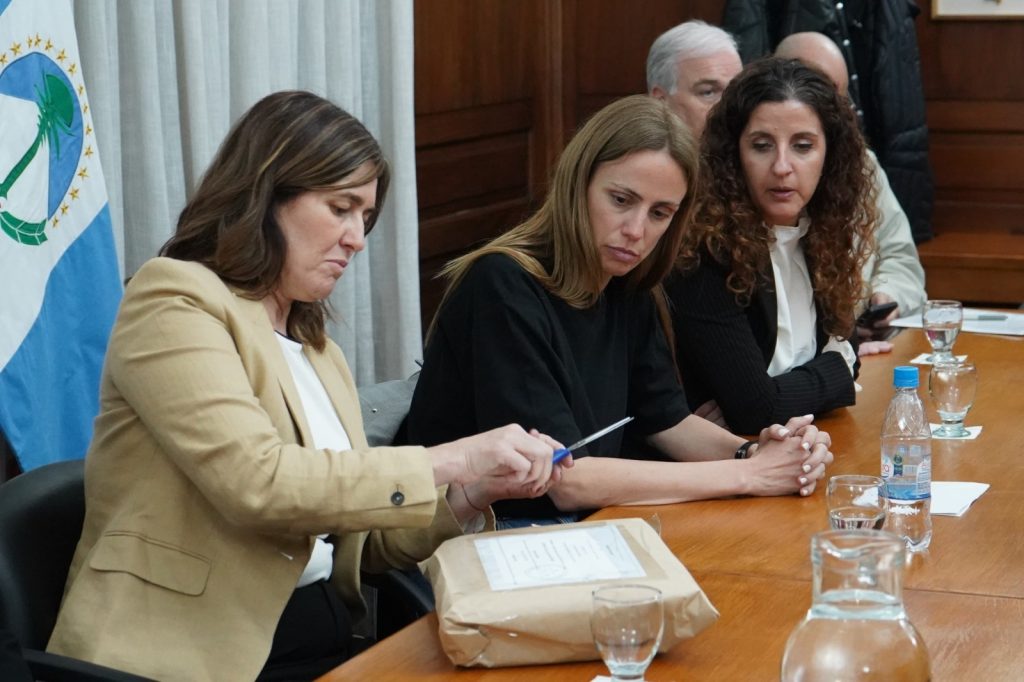 Plottier licitó la construcción de un complejo para personas mayores con 32 viviendas